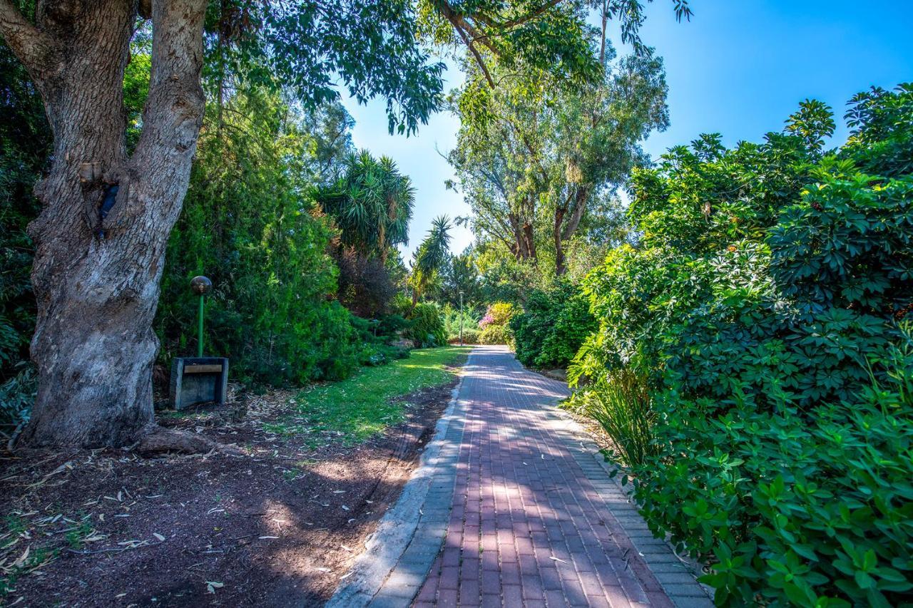 כפר הנופש קיבוץ גדות Kibbutz Gadot Galilean Resort Ngoại thất bức ảnh