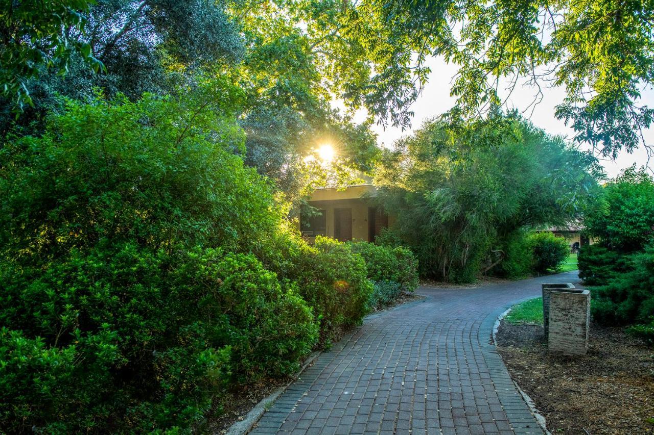 כפר הנופש קיבוץ גדות Kibbutz Gadot Galilean Resort Ngoại thất bức ảnh